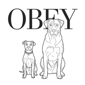 Página para Colorir de Obediência
