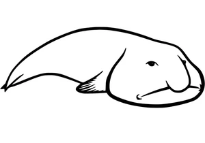 Página para Colorir Página para Colorir de um Peixe-Bolha