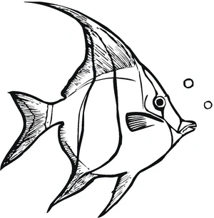 Página para Colorir Peixe-Anjo do Oceano 🐠
