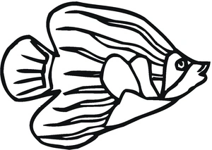 Página para Colorir Peixe-Anjo Nadando