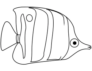 Página para Colorir Peixe-Anjo Comum