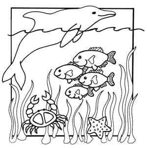 Criaturas do Oceano