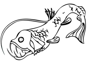 Peixe-Víbora do Oceano