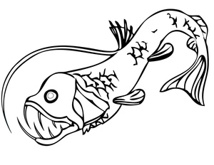 Página para Colorir Peixe-Víbora do Oceano