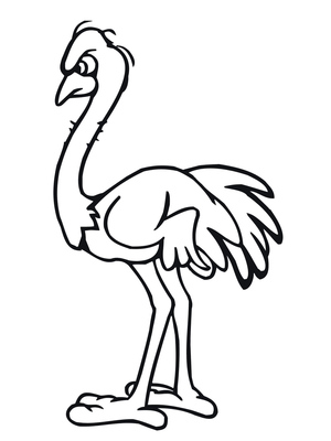 Avestruz Furioso