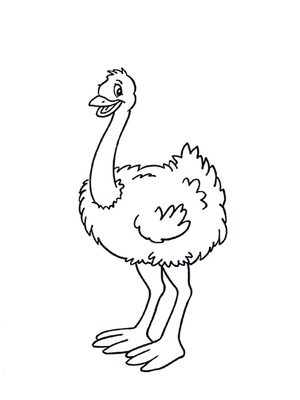 Avestruz Simples