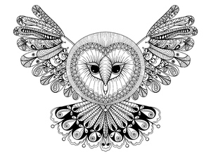 Mandala Coruja Voadora
