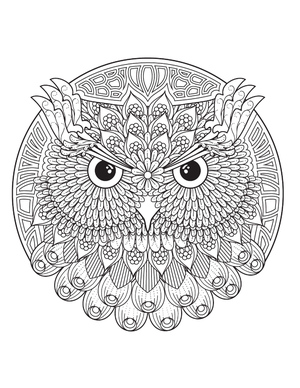Mandala com Cabeça de Coruja