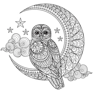 Página para Colorir Mandala da Coruja ao Luar