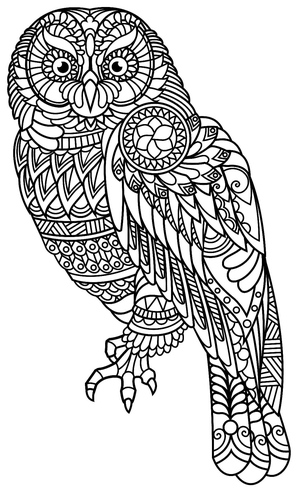 Delícia do Mandala Coruja