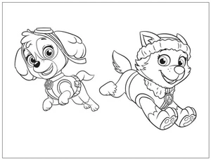 Página para Colorir Skye e Everest da Patrulha Canina