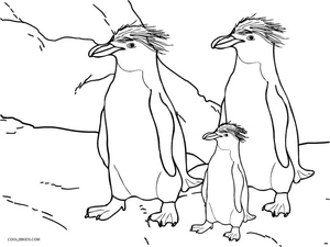 Imagem de Três Pinguins
