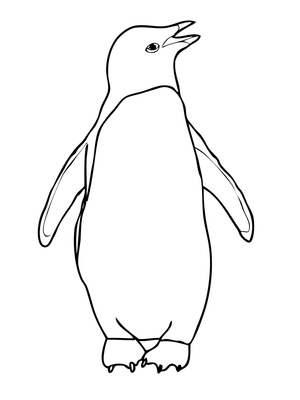 Esboço de um Pinguim