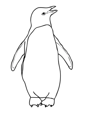 Página para Colorir Esboço de um Pinguim