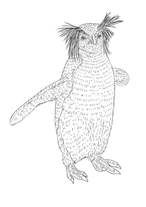 Pinguins