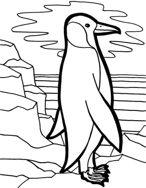 Pinguim em Pé