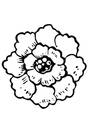 Página para Colorir Adorável Flor de Peônia