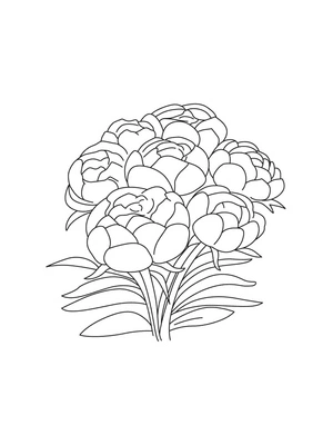 Página para Colorir Peônias Exquisitas