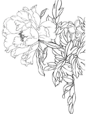 Página para Colorir Ilustração de Peônias
