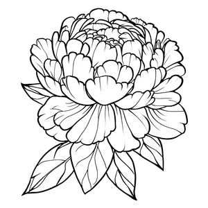 Página para Colorir Imagem de uma Flor de Peônia