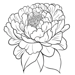 Página para Colorir Página para Colorir Flor de Peônia