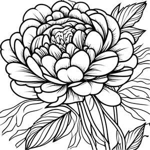 Página para Colorir Página para Colorir de Flor de Peônia Grátis para Imprimir