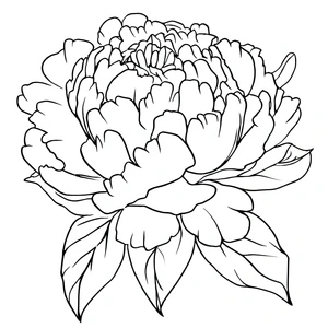 Página para Colorir Página para Colorir de Flor de Peônia para Imprimir