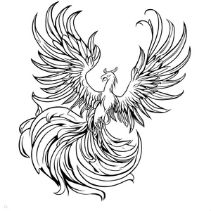 Desenho de uma Fênix
