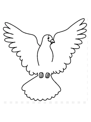 Página para Colorir Desenho Animado Dove