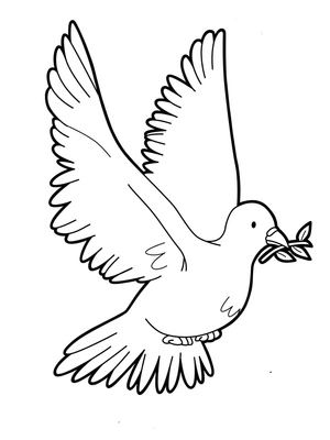 Página para Colorir Pomba Comum