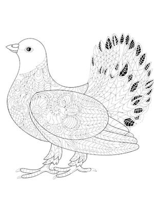 Mandala de pombo em pé, detalhada, mandala de pombo, página para colorir gratuita