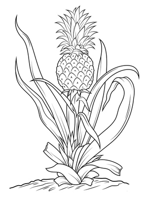 Abacaxi