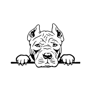 Página para Colorir Pitbull Deprimido