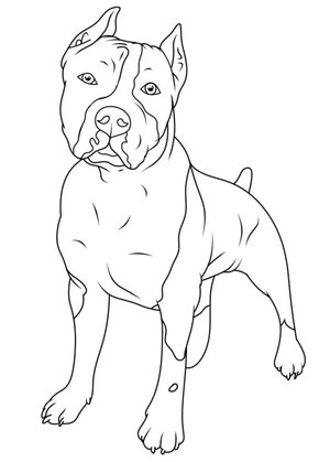 Página para Colorir Páginas de Colorir de Pitbull Grátis para Crianças