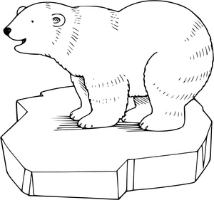 Urso Ártico no Gelo