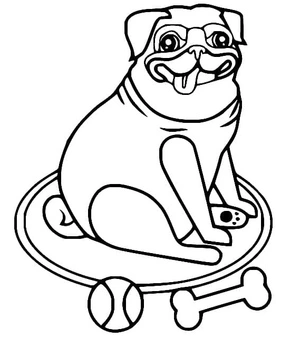 Página para Colorir Pug Divertido