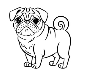 Pug