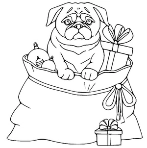 Página para Colorir Pug com Presentes