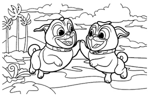 Bingo e Rolly