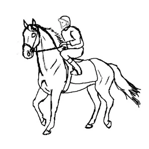 Página para Colorir Cavalo de Corrida Desenhado à Mão