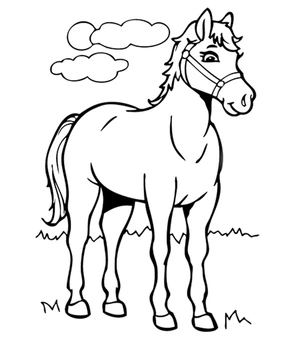Página para Colorir Bela Equestre Encantadora