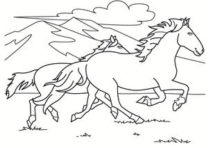 Corrida de Cavalos de Corrida