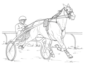 Corrida com Peitorais