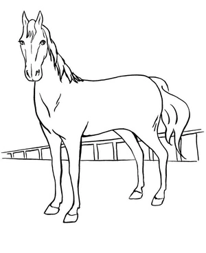 Página para Colorir Cavalo de Corrida em Pé