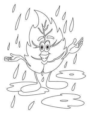 Folha Encharcada de Chuva