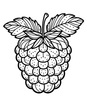 Página para Colorir Página para Colorir de Framboesa Grátis