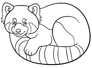 Página para Colorir Um Panda Vermelho com Expressão Feliz