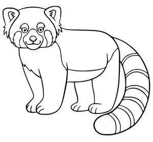 Página para Colorir Um Panda Vermelho Animado
