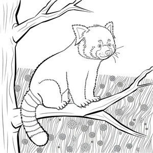 Página para Colorir Panda Vermelho Autêntico
