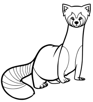 Página para Colorir Panda Vermelho Curioso